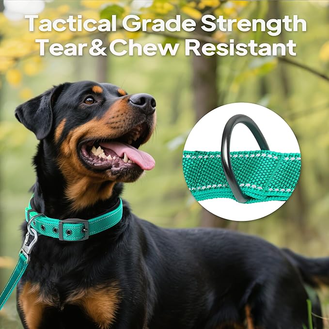 PetiFine Dog Collar for Large Dogs, Neoprene Padded and Adjustable, Reflective Wide Heavy Duty Pet Collars with Durable Metal Belt Buckle for Walking, Teal, L
