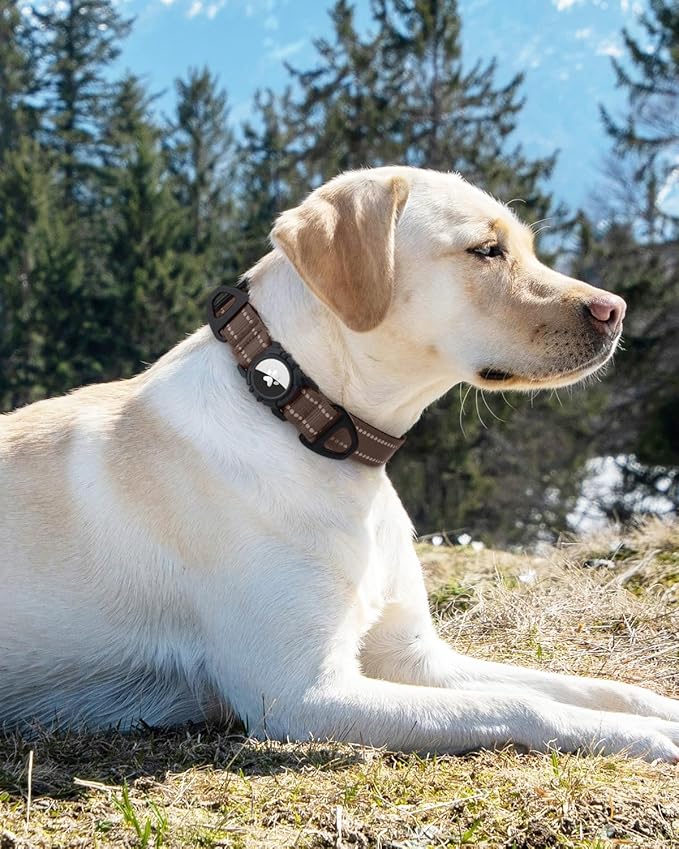 Joytale Airtag Dog Collar, Reflective Pet Collar with Waterproof AirTag Holder, Dual D-Rings, Soft Padded Adjustable for Extra Large Dogs, Brown, XL