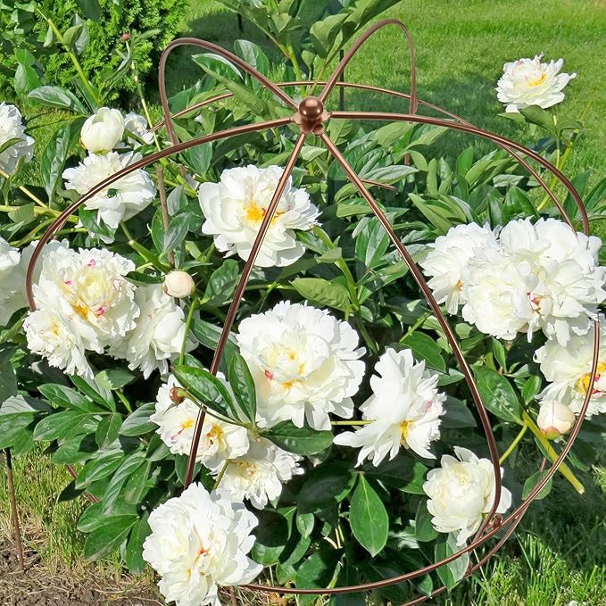 NNG 26 Inch Bird Cage Plant Support, Metal Grow Through Flower Trellis Cage with Dome Top, Garden Plant Support for Peonies Hydrangeas Tomatoes and Climbing Vines