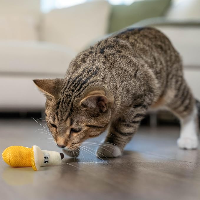 Catstages Petstages Dental Banana Catnip Cat Chew Toy