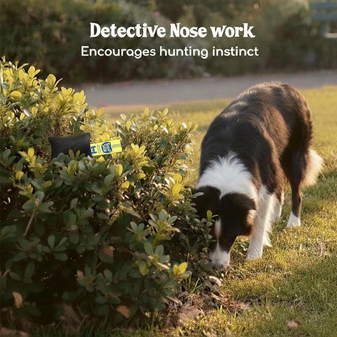 Race&Herd Original Dog Scent Training Kit, Scent Work Training Kit for Dogs - Nosework for Dog Mental Stimulation Agility Training Equipment for Dogs, Brain Games Smell Training Kit for Loss of Smell