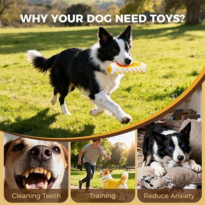3 Pack Dog Chew Toys for Small and Medium Dogs - Toothbrush Stick for Teeth Cleaning, Durable & Long Lasting Dog Toys to Keep Dogs Busy