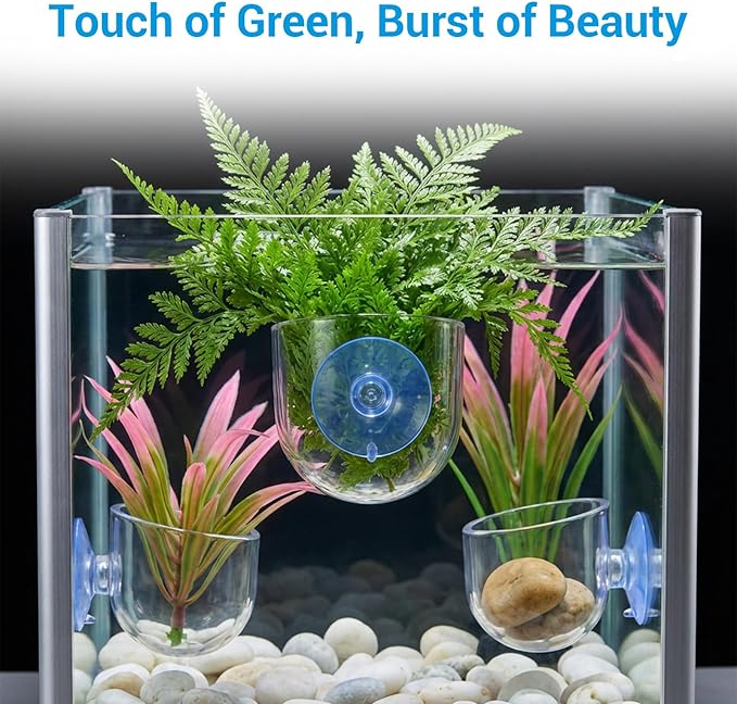 3 Pcs Aquarium Plant Holder, 2 Sizes Fish Tank Aquatic Plant Pot with Suction Cups, Red Worm Fish Feeder, Acrylic Clear Round Betta Tank Accessories for Water Feature Decoration