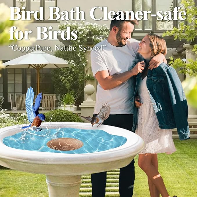 Copper Bird Bath Disks (2-Pack), 4.2" Large Surface, 20% More Coverage, Year-Round Water Cleanliness