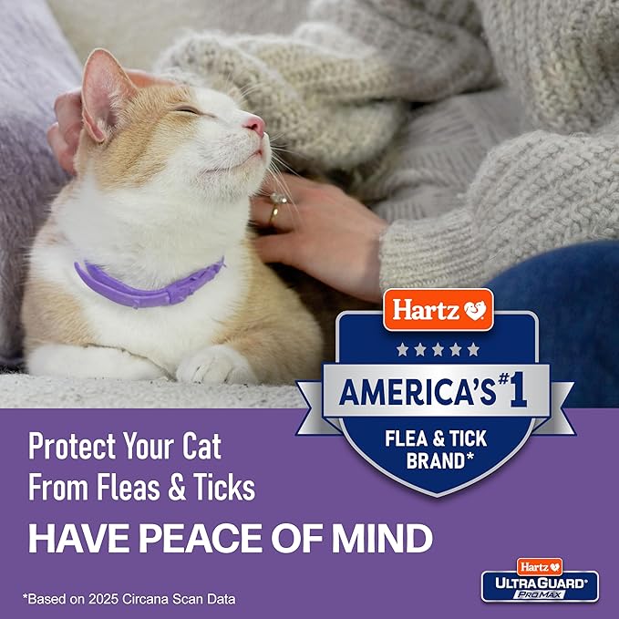 Hartz UltraGuard ProMax Flea & Tick Collar for Cats I 14 Months Protection I Soft & Comfortable | Flea & Tick Prevention I 2 Pack