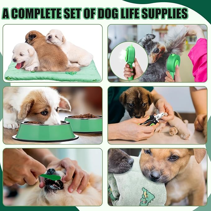 Abbylike 50 Pcs Puppy Supplies Starter Kit for Small Dogs Puppy Essentials Includes Leash, Bowls, Teeth Brushes, Water Bottle, and More Accessories for Dogs Pet Day Welcome Gift(Green)