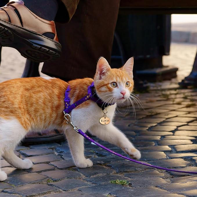 Anavia Small Size Dog Cat ID Tags, Small/XS Personalized Color Plated Stainless Steel Puppy Kitten Name Tags, Customized Engraved Nameplate Pet Collar Tag (Rose Gold, Oval)