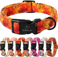 Fall Dog Collar, Gold Maple Leaves Pattern Fall Thansgiving Puppy Collar, Soft Adjustable Cotton Holiday Dog Collars for Small Medium Large Boy&Girl Dogs S