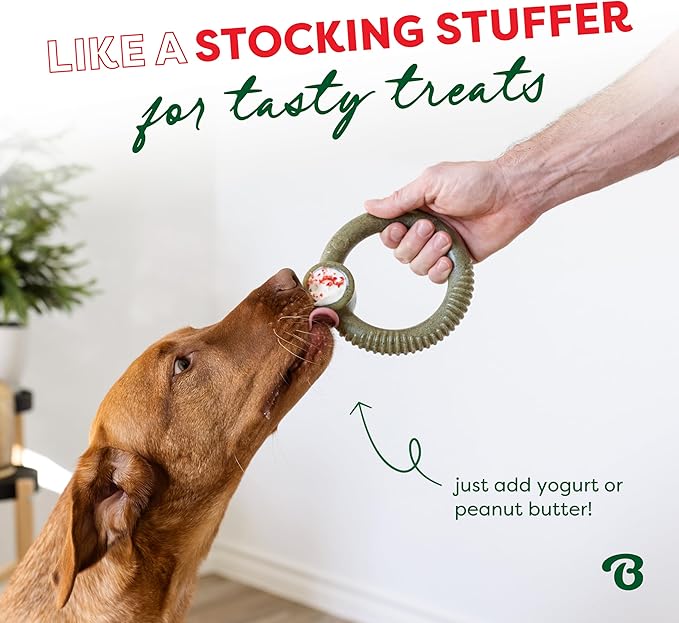 Benebone Peppermint Ring – Limited Edition Holiday Flavor, Durable Chew Toy for Aggressive Chewers, Made in USA, Large