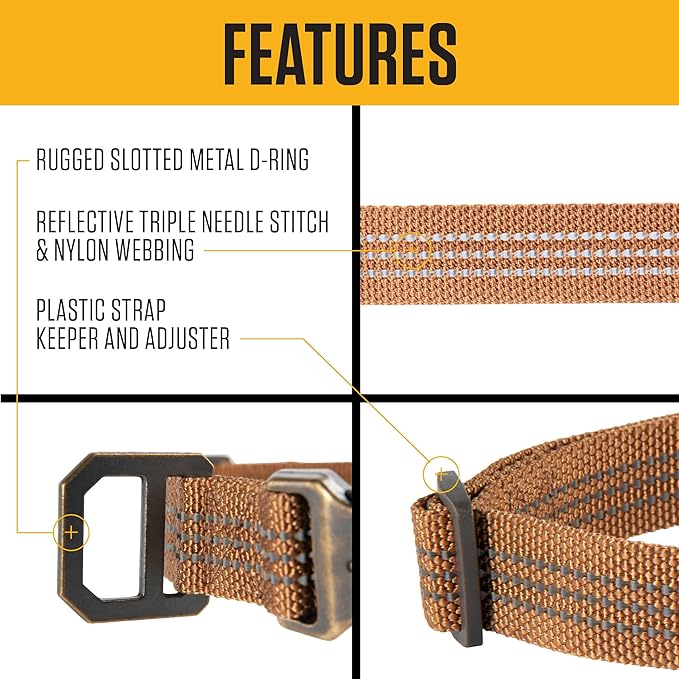 Carhartt Fully Adjustable Nylon Webbing Collars for Dogs, Reflective Stitching for Visibility, Hunter Orange (Nylon Webbing), Large