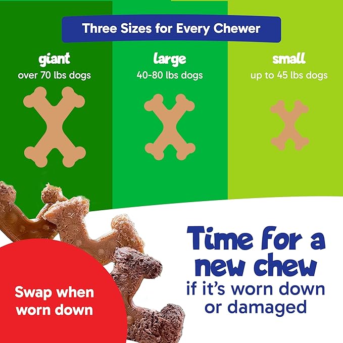 Chew’EMS X Bone Dog Chew Toy for Aggressive Chewers – Long-Lasting Salmon Flavor Nylon Bone – Durable, Rawhide-Free Dental Toy - Giant Size – Made in USA