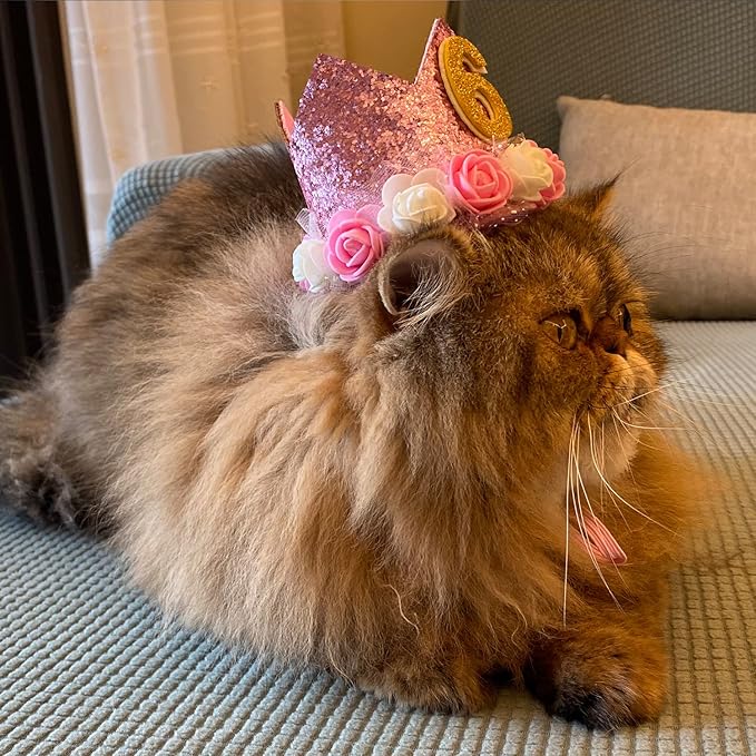 Pet Crown Dog Birthday Hat Reusable Birthday Party Crown Girl Cat Doggie Headband Hats with 0-9 Figures Charms Gift Grooming Accessories with Glue Dots Pack of 1(Pink)
