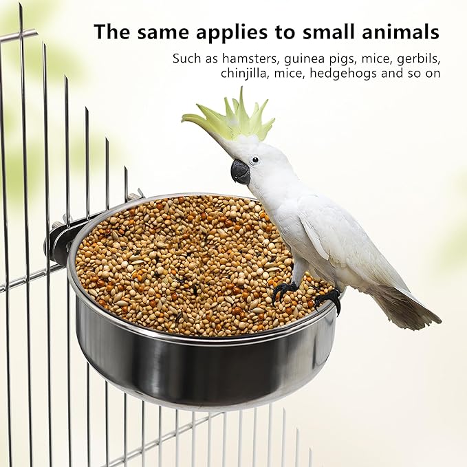 4 Pcs Medium Bird Feeding Dish Cups,Parrot Food Bowl Cage with Clamp Holder Stainless Steel,Birdcage Coop Water Feeder for Cockatiel Parakeet Macaw Finches Lovebirds Small Animals (4 Pack, M)