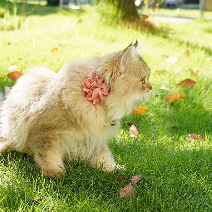 azuza 2 Pack Cat Collar Floral with Bell and Removable Flower Bowtie Breakaway Adjustable Velvet Fabric Cat Collar for Pets and Daily Decoration，Wine Red & Rose Pink