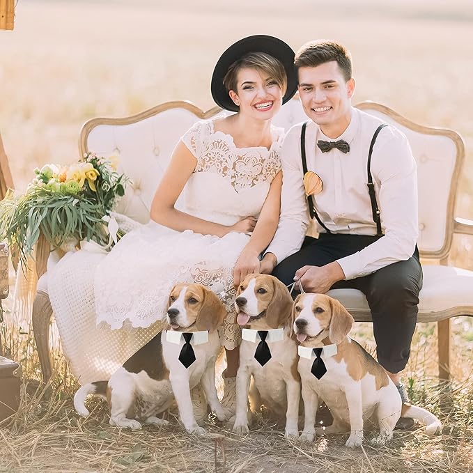 ADOGGYGO Adjustable Dog Neck Tie Collar Pet Collar with Black Necktie Wedding Formal Tux Collars for Small Dogs Pets (Small)