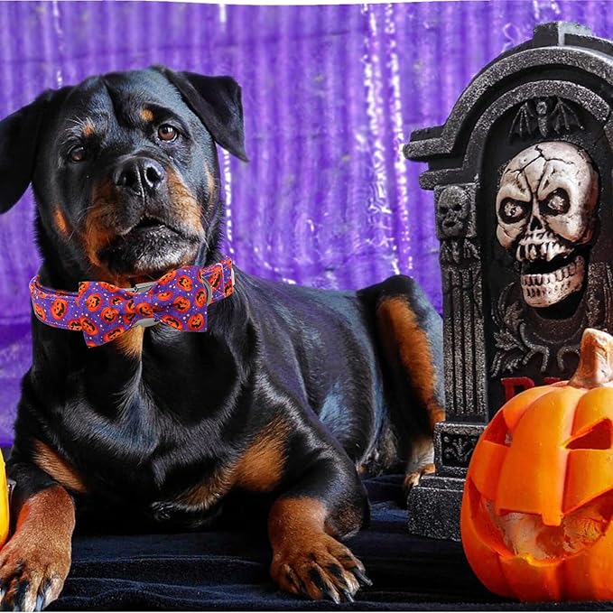 Dog Collar - Halloween Pumpkin Bowtie Pet Collar Gift Soft Bow Collar Pet Adjustable Metal Buckle Puppy Collars for Small Dogs