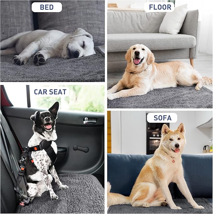 Kritter Planet Waterproof Dog Blanket, Reversible Water Proof Pet Blanket for Couch, Bed & Car, Washable Couch Covers for Medium Dogs - Protects Furniture from Fur, Dirt, and Accidents