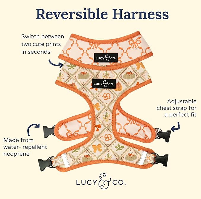Lucy & Co. Cute Reversible Dog Harness Walking Halter - Best Designer Pet Harnesses for XS - XL Dogs - Padded Adjustable Vest for Easy Walking-XLarge-Orange Cream Pumpkin