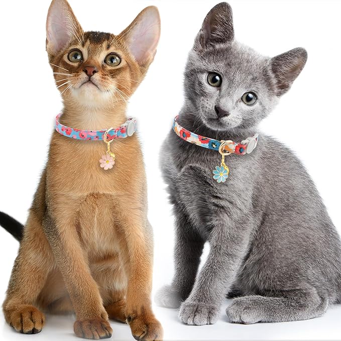 Faygarsle 2 Pack Breakaway Cat Collar with Bells for Girl Cats Cute Pink Collar with Flower Charm Floral Girly Spring for Cats