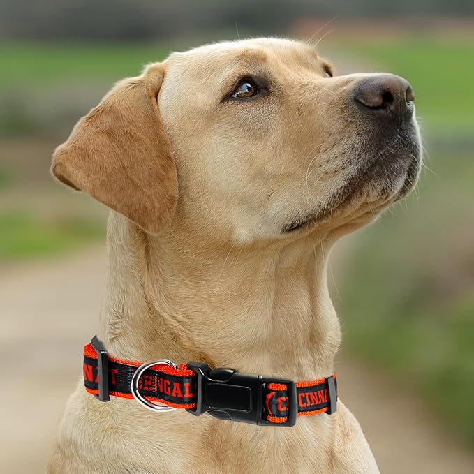 New & Improved Pets First NFL Licensed PET Collar- Heavy-Duty, Strong, and Durable New Dog Collar. Available in 32 Football Teams and 4 Sizes