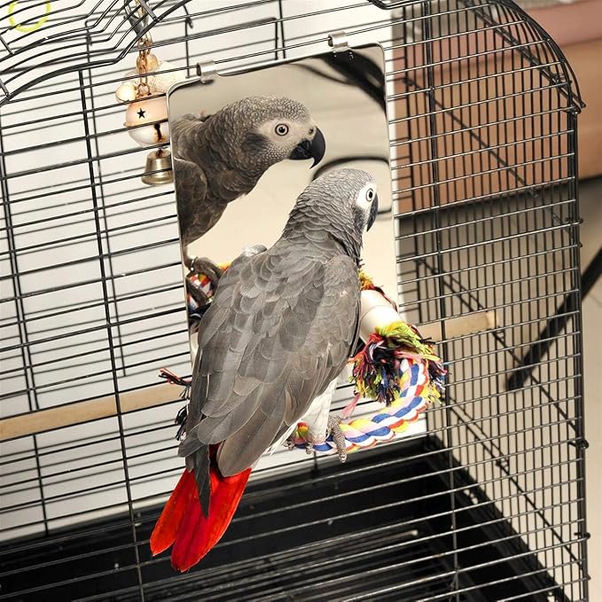 Colorday 9" Bird Mirror with Rope Perch, Bird Swing, Parrot Cage Toys for Parakeet African Grey Conure Cockatiel Lovebird Finch Canarie, Large