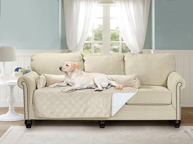 Brilliant Sunshine Premium Calming Dog Bed Mat, Silky Velvet, Removable Washable Cover, Cushion Protector and Couch Covers for Dogs, Pets, Cats, Extra Large, Beige Natural