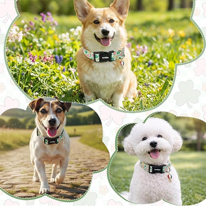 St. Patrick's Day Dog Collar,Puppy Collar with Lucky Shamrock Chequered Pattern,Adjustable Spring Cotton Collars Gifts for Small Medium Large Dogs,Dog Accessories M