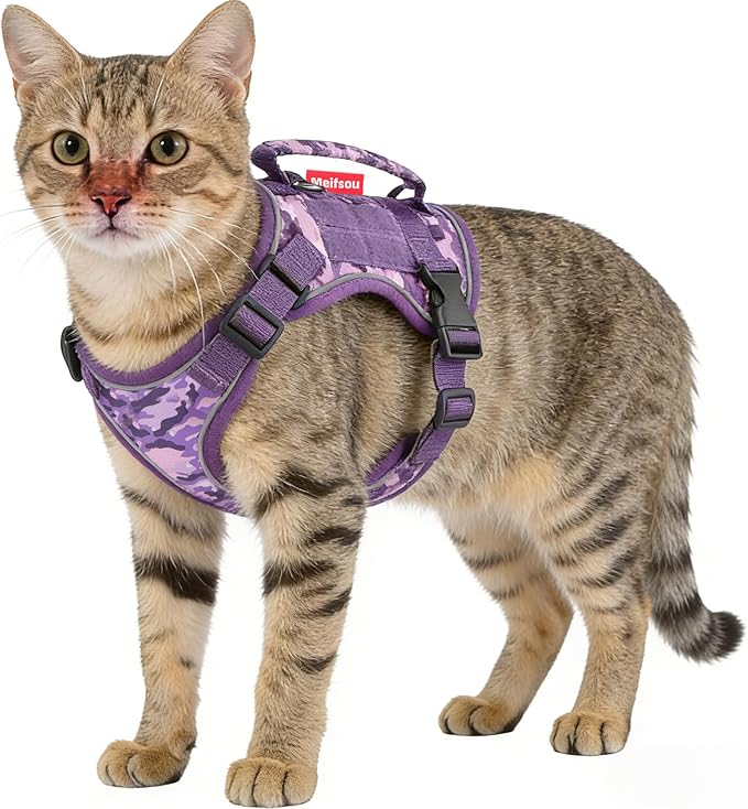 Dog Harness and Leash Set, Small Sized No Pull Pet Harness with Control Handle, Adjustable Tactical Harness for Small Medium Dogs Cats, Reflective Puppy Harness for Walking Hiking Training