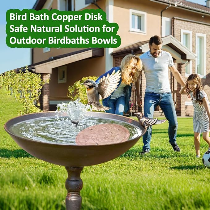 Bird Bath Copper Disk, 99.99% Pure Copper with Triple-Point Support, Physical Safe Clean Water for Outdoor Birdbaths & Bowls, All-Season Use, Reinforced Design