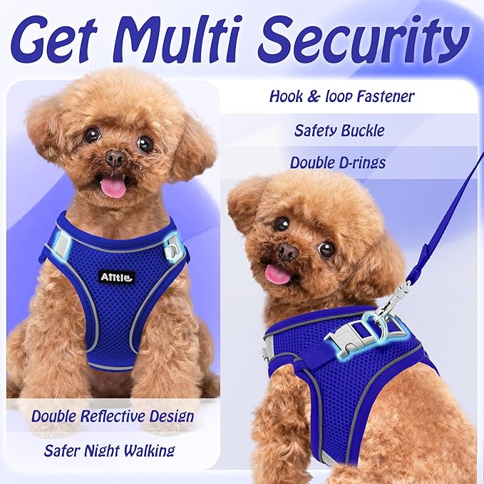 AIITLE Dog Harness, No-Pull Cat Harness with a Leash, Adjustable Reflective Dog Vest, Cat Harness Escape Proof, Outdoor Walking, Running,Training for Extra Small Dogs and House Cats Royal Blue XXXS