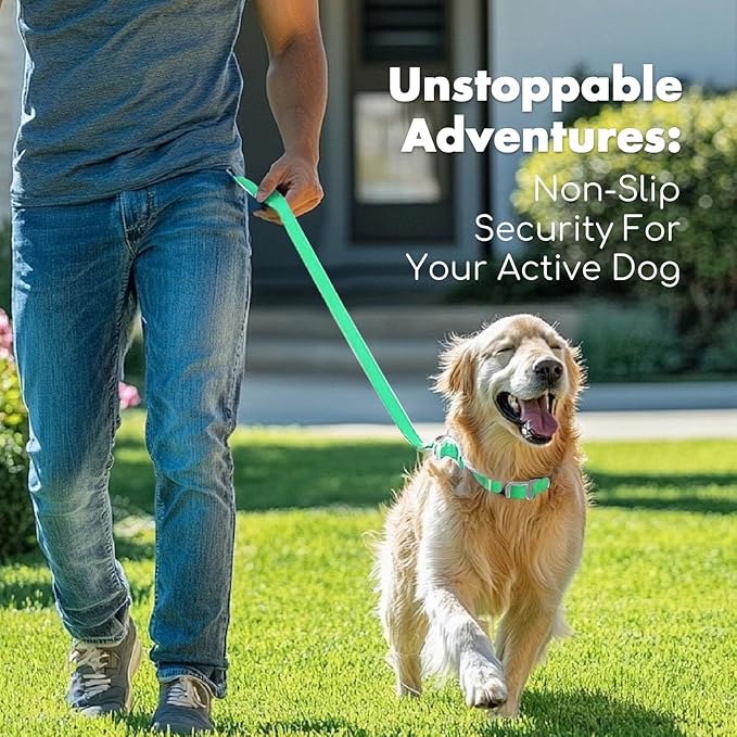 4.2FT Dog Collar and Leash Set, PVC Waterproof Adjustable Odor Proof Pet Collars Leashes, Easy to Clean, Surface 3D Cube Effect, Dog Leash for Small Dogs, Light Green