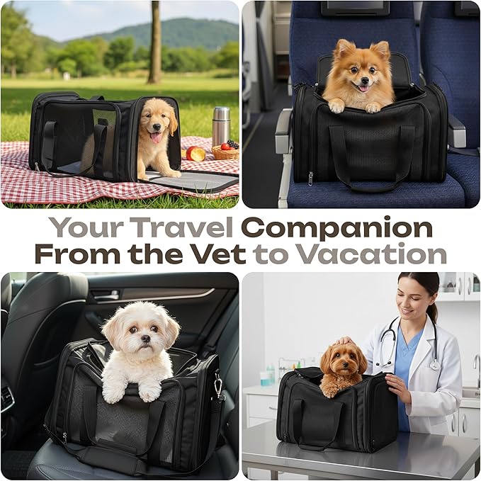 Airline Approved Medium Pet Carrier for Cats & Dogs – Foldable Dog Bag with Soft Mat, Breathable Mesh Windows, Travel-Ready Cat Carrier (Up to 15 lbs, Black)