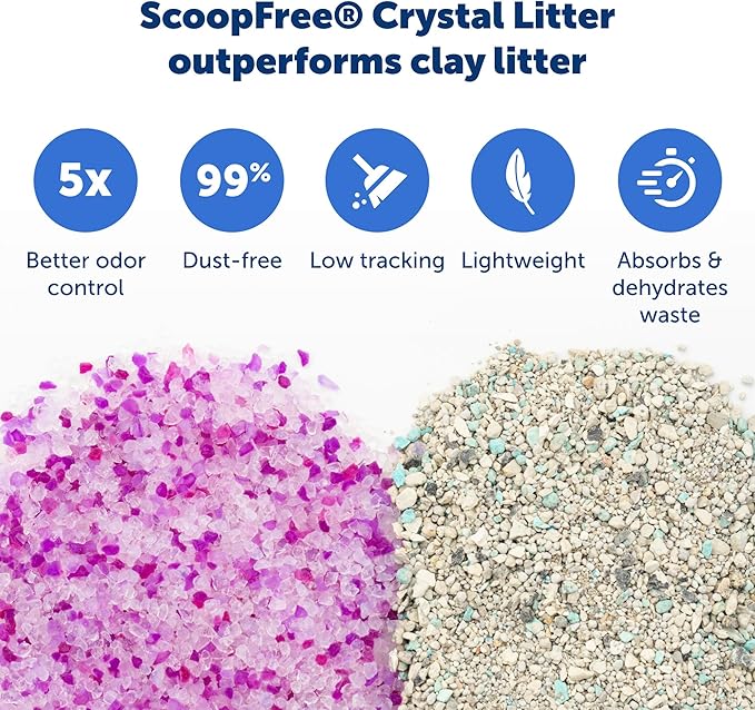 PetSafe ScoopFree Disposable Crystal Cat Litter Tray - Easy Cleaning Box - Refill Tray for Automatic Litter Box - Lavender Scent - 4.3 lb Bags - 6 Pack