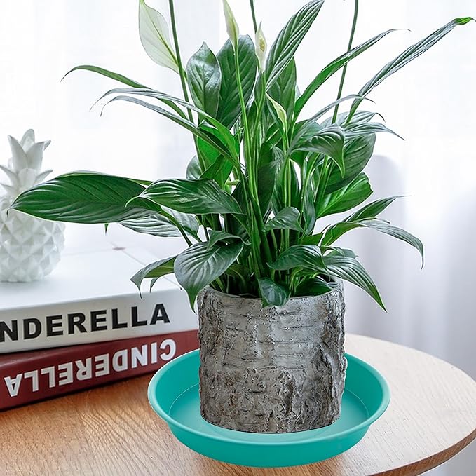 4 Pack of 14 inch Plant Saucers Bird Bath Bow Round, Plastic Plant Saucer Tray for Pots, White Planters for Indoor Plants, Plant Trays for Planter 12-15" (14", Teal)