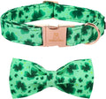 Lionheart glory Clover Dog Collar, Adjustable Dog Collar with Bowtie, Pet Gift Collar for Dog Soft Bowtie Dog Collars for Large Dogs