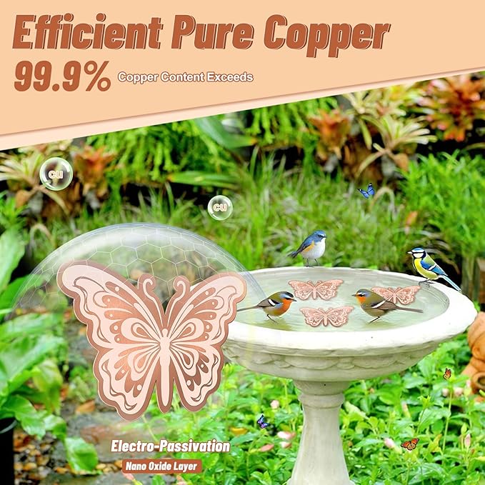 Bird Bath Copper Disk, 0.6mm Reinforced 99.9% Pure Copper Cleaning Disk for Physical Clean Water, All-Season Use Cleaner for Outdoor Birdbaths Bowl Garden Fountain (Butterfly 1PC)