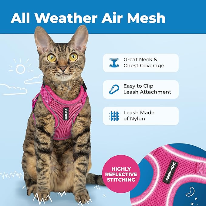 Voyager Escape-Proof Step-in Lock Cat Harness & 5ft Neoprene-Handle Leash Set All-Weather Mesh with Reflective Stitching for Small to Large Cats by Best Pet Supplies, Fuchsia (327), XS