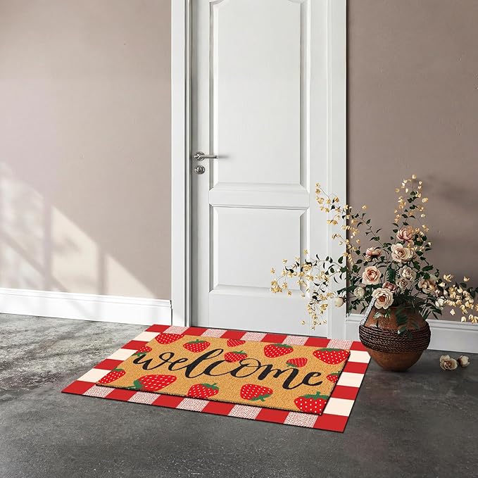 Tinideya 2 Pcs Strawberry Door Mat Fruit Pattern Design Welcome Non Slip Coir Mats Red and White Plaid Floor Layering Doormats Seasonal for Front Porch Entryway Decor(Strawberry)