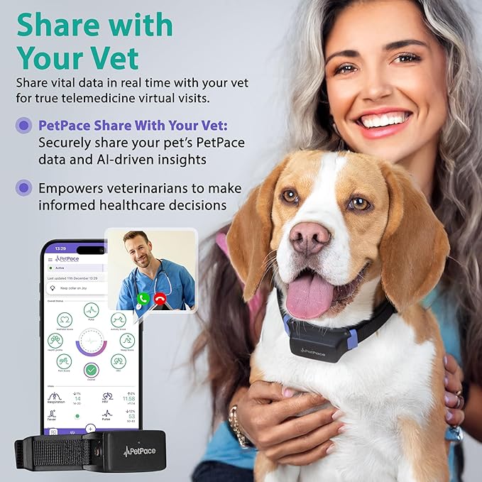 V3.0 Dog Health Monitor – AI Health Collar with 24/7 Vital Signs Tracks Pain GPS, Telehealth AskaVet & Share with Your Vet & Apple Watch Sync – Subscription Required (Medium)