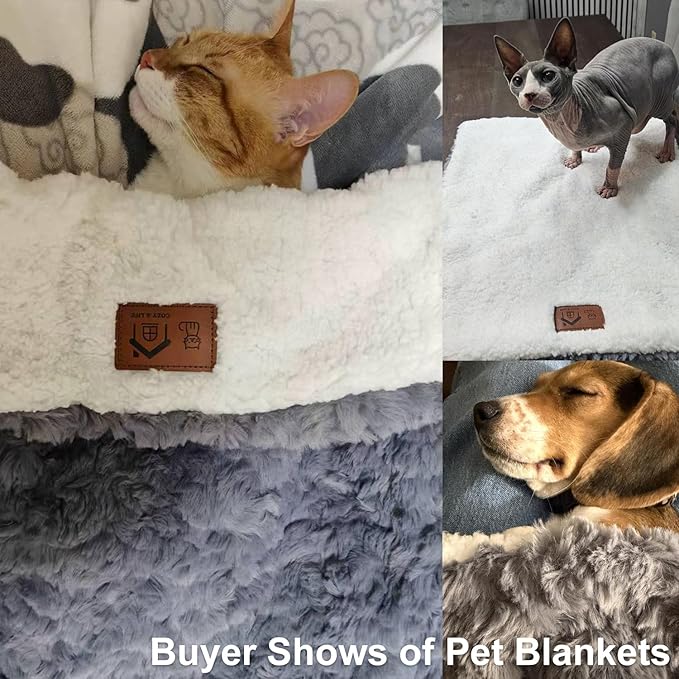 Cat Blanket for Indoor Cats - Ultra Thick 460GSM Faux Rabbit Fur & 260GSM Sherpa, Small Pet Throw for Carrier, Crate & Couch Protection, Soft Thermal Kitten Bedding, 21"x18" Grey