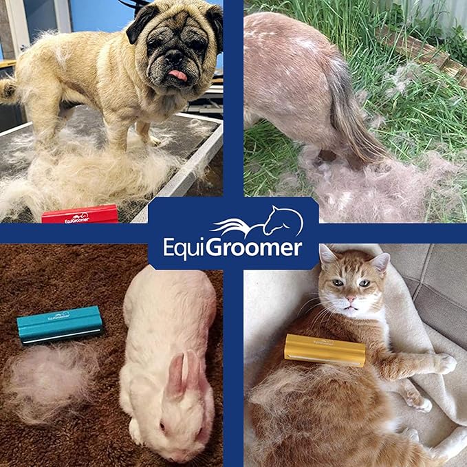 EasyGroomer Deshedding Brush for Dogs & Cats – Undercoat Grooming Tool for Short & Long Hair, Removes Loose Fur & Dirt, Reduces Shedding for Small & Large Pets, Lime