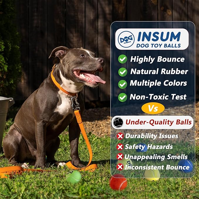 Squeaky Tennis Balls for Dogs - Bulk 50 Pack 2.5'' Durable Non-Toxic Outdoor Dog Toys Balls with Mesh Bag, SGS Certified, Colorful Fetch Toys, Medium Large Breeds