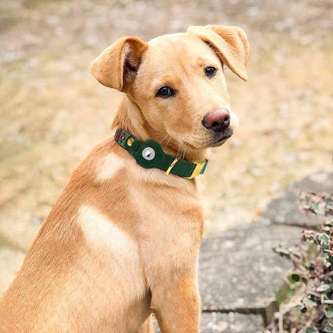 AirTag Dog Collar for Small Medium Large Breed - Adjustable Cute Pattern Dog Collar with Airtag Holder - Soft Leather Tracker GPS Apple Air Tag Pet Collars (Medium, 14"-18" Neck Fit, Tribal)
