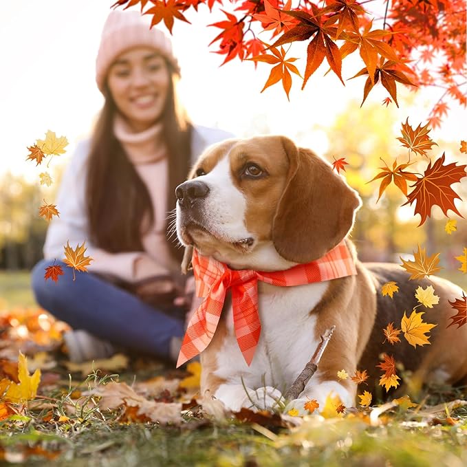 Abbylike 50 Pcs Orange Plaid Dog Bandanas Bulk Check Pattern Bandanas for Dogs Triangle Kerchief Bib Scarf Set for Pet Party Costume Photo Props Accessories Pet Shops, 25 Styles (25.6 x 17.7 x 17.7)
