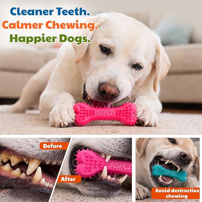 ASPCA 2-Pack Spiky TPR Puppy Teether Bones – Vanilla-Scented Teething Toys for Gum Relief, Gentle Chewing & Interactive Play