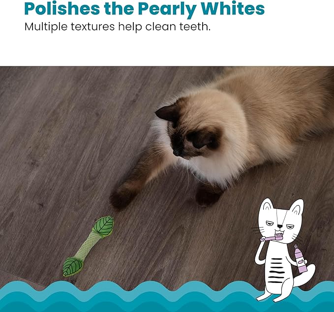 Catstages Fresh Breath Mint Stick Dental Cat Chew Toy with Catmint,Teeth Cleaning & Fresh Breath,Solo or Interactive Play,Green,(Pack of 2)