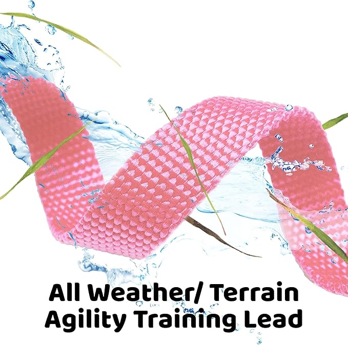 Downtown Pet Supply - Long Dog Leash - 15 ft Pink Nylon Dog Training Leash for Recall & Obedience