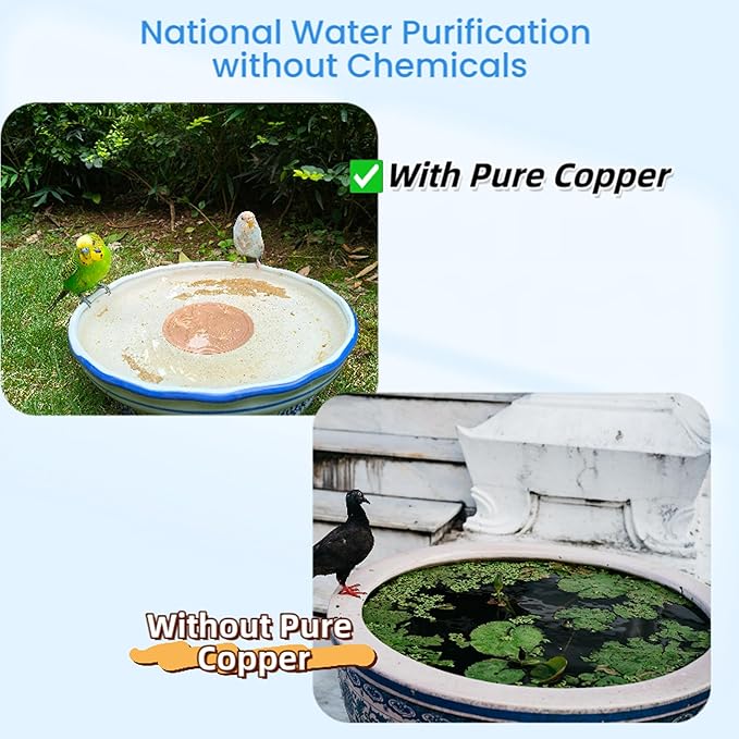 Bird Bath Purification Disk, 99.99% Copper Disc for Bird Bath Copper Disk Cleaner Safe for Outside Birds Fountain Disc Accessories, Fit for Outdoor Birdbath Bowl (2 pcs)