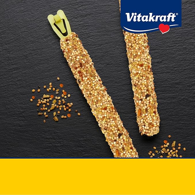 Vitakraft Parakeet Whole Grains & Orange & Apricot Treat Sticks, 1.6 Ounce (Pack of 2)