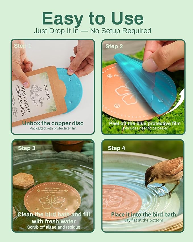 Bird Bath Purification Disk Pure Copper Outside Winter Solar Power Birdbath Wild Hummingbird Pedestal Fountain Cleaner Humming Feeder Cage Dispenser Heater Ground Safe Garden Lover Women Gift